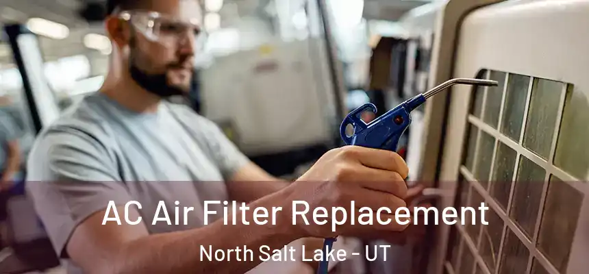  AC Air Filter Replacement North Salt Lake - UT