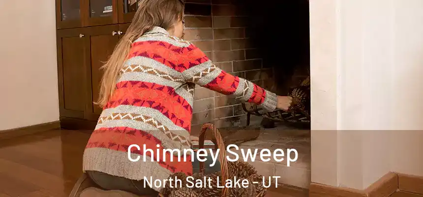  Chimney Sweep North Salt Lake - UT
