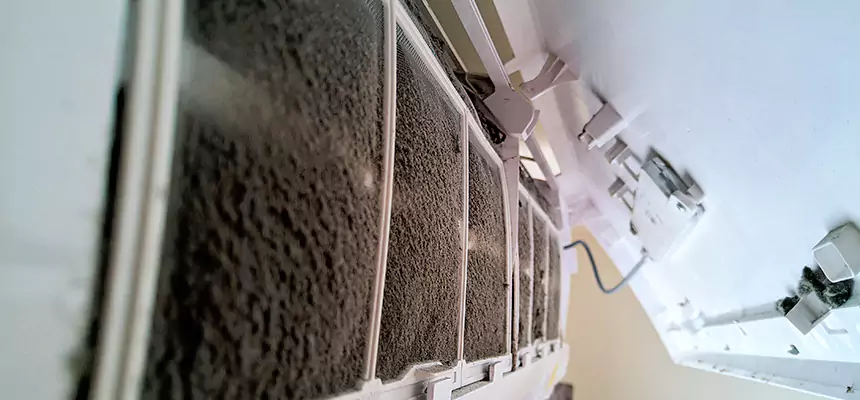 Preventive Air Duct Bacteria Removal in North Salt Lake