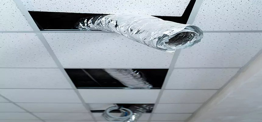 Affordable HVAC Sanitizing After Pest Removal in North Salt Lake