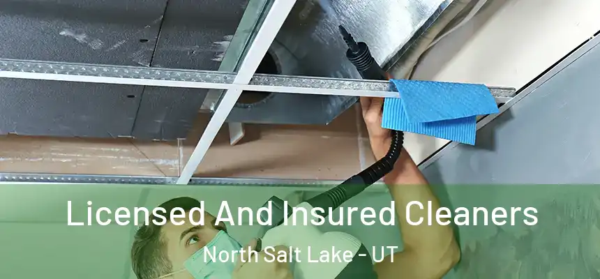  Licensed And Insured Cleaners North Salt Lake - UT