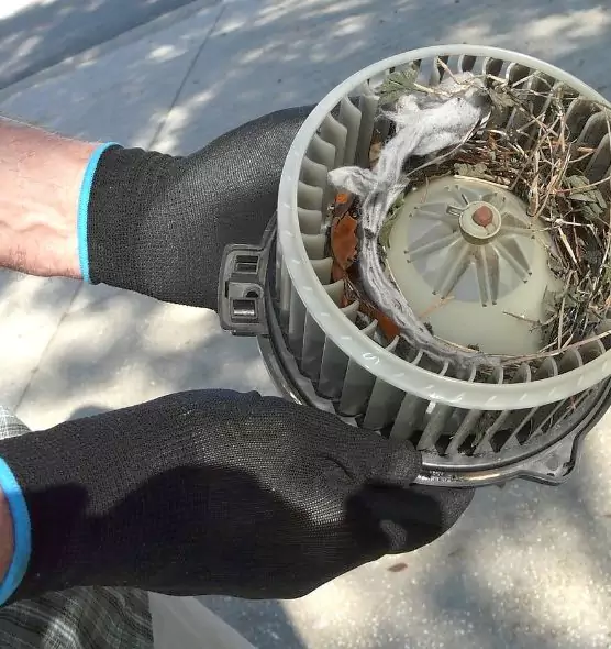 About Air Duct Mice Removal in North Salt Lake, UT