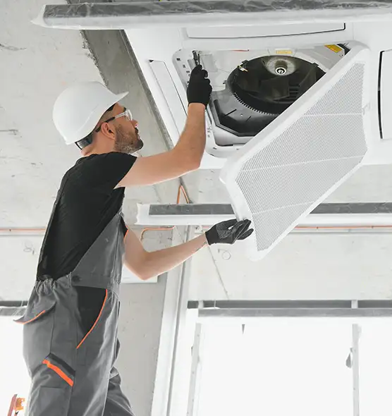 About Air Duct Rodent Removal in North Salt Lake, UT